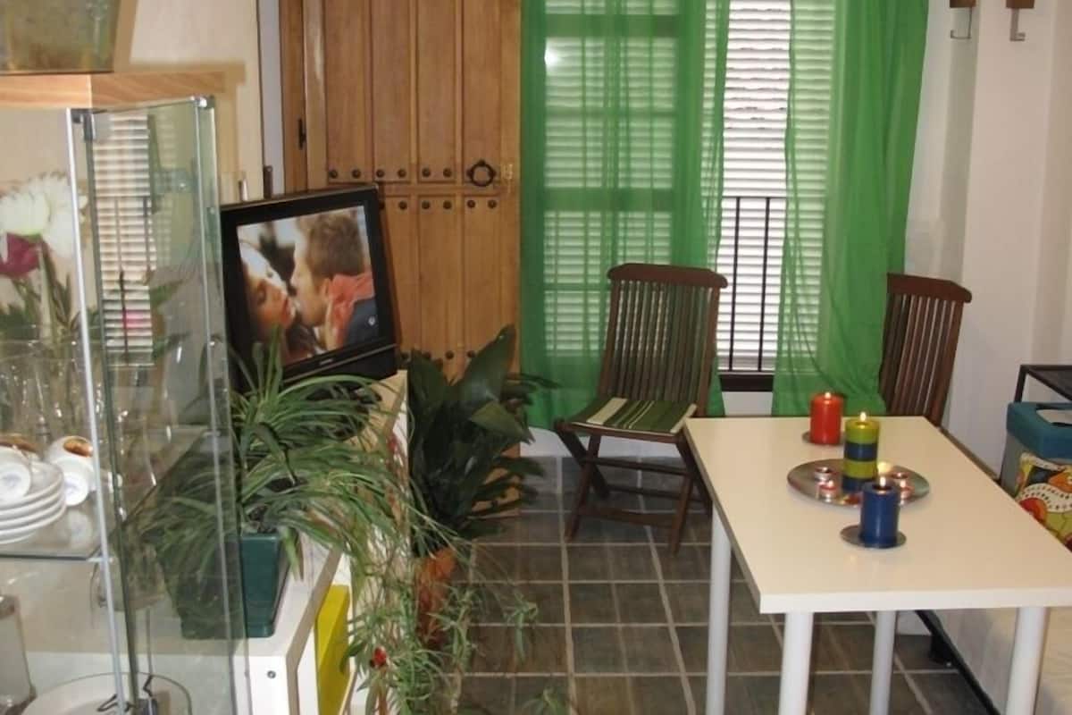 A dining area with a table, chairs, and a television. There are green curtains and a plant on the left.