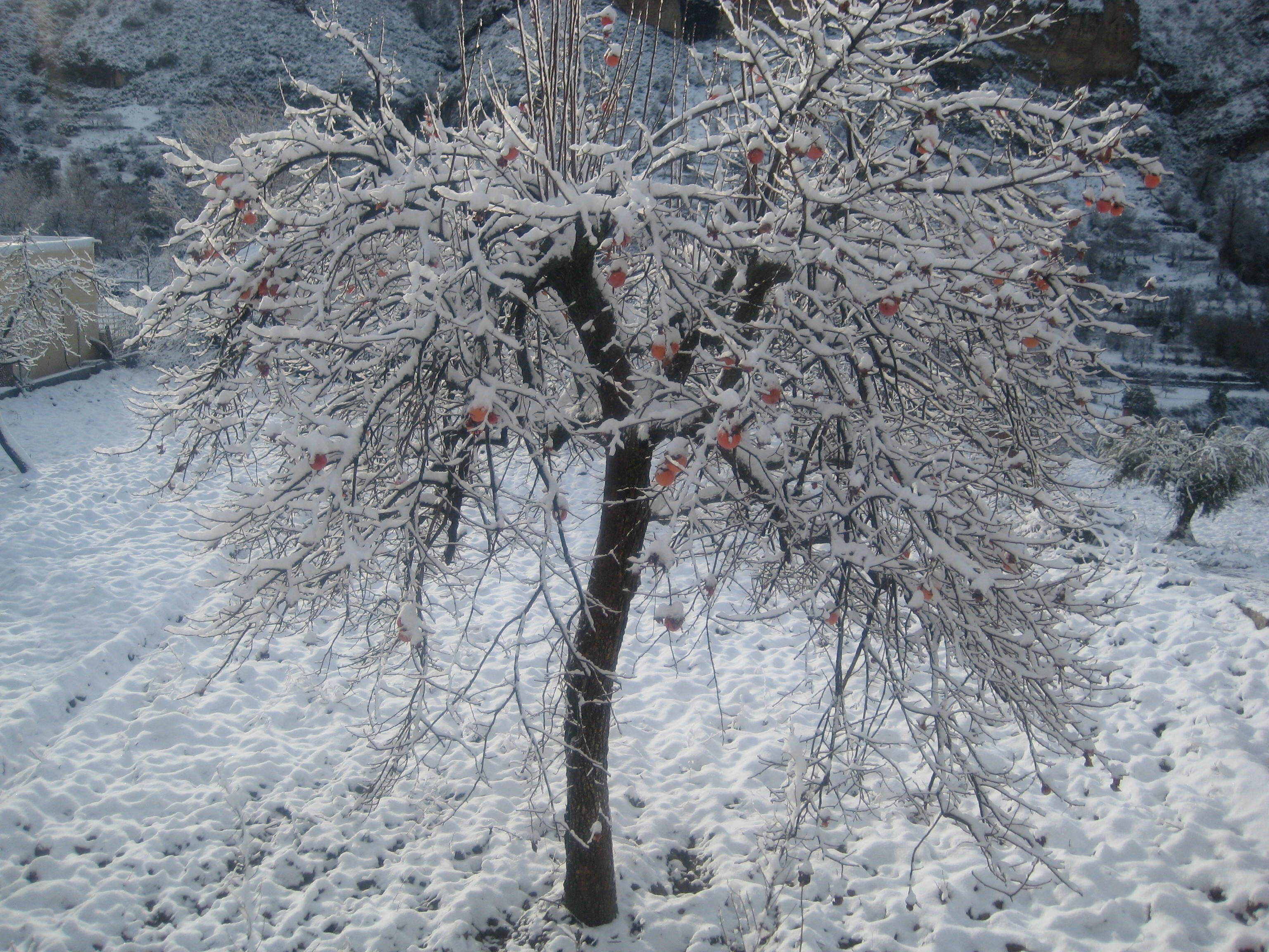 Foto - Quéntar Hotel Rural