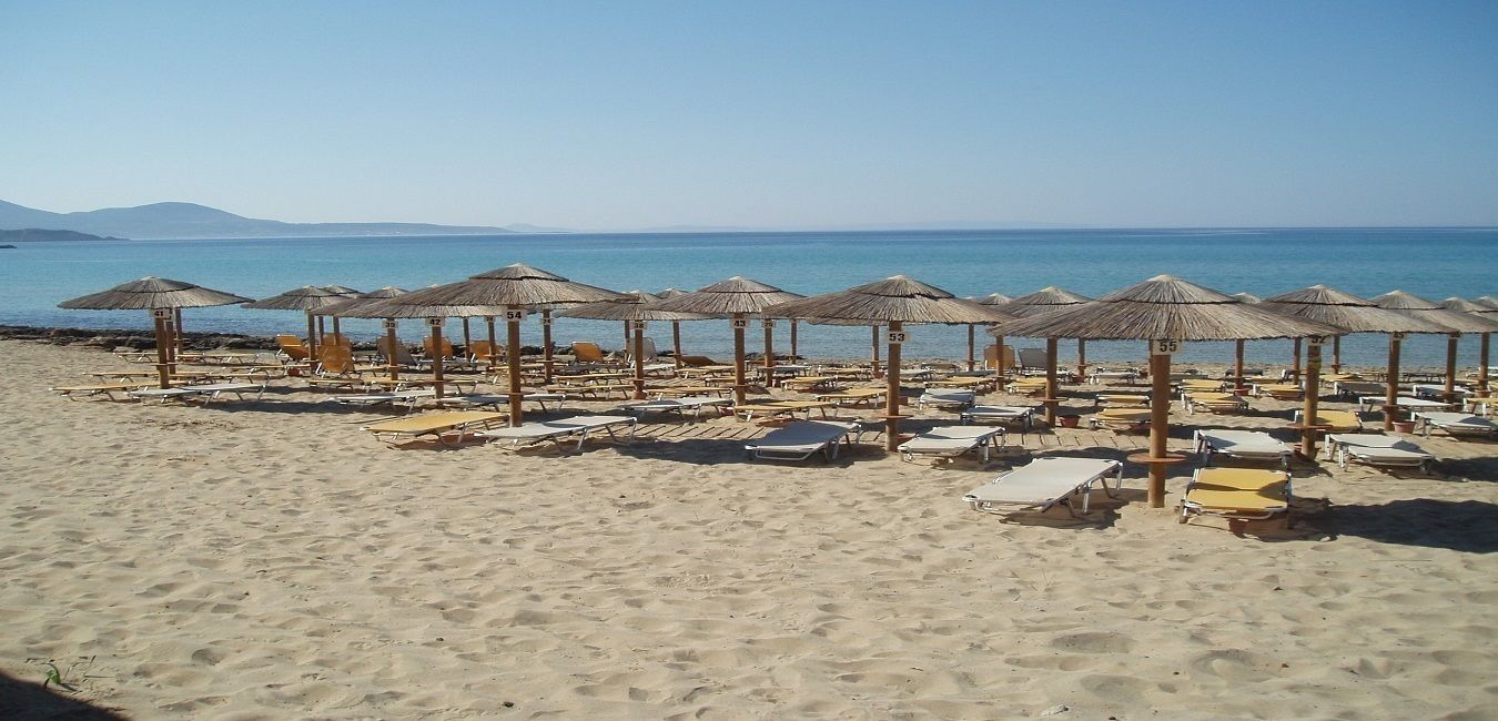 A beach with rows of sun loungers and thatched umbrellas, arranged in a linear fashion along the shoreline.