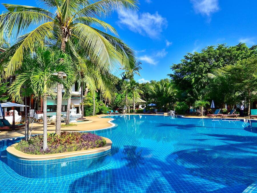 Una piscina al aire libre, sombrillas, sillones reclinables de piscina
