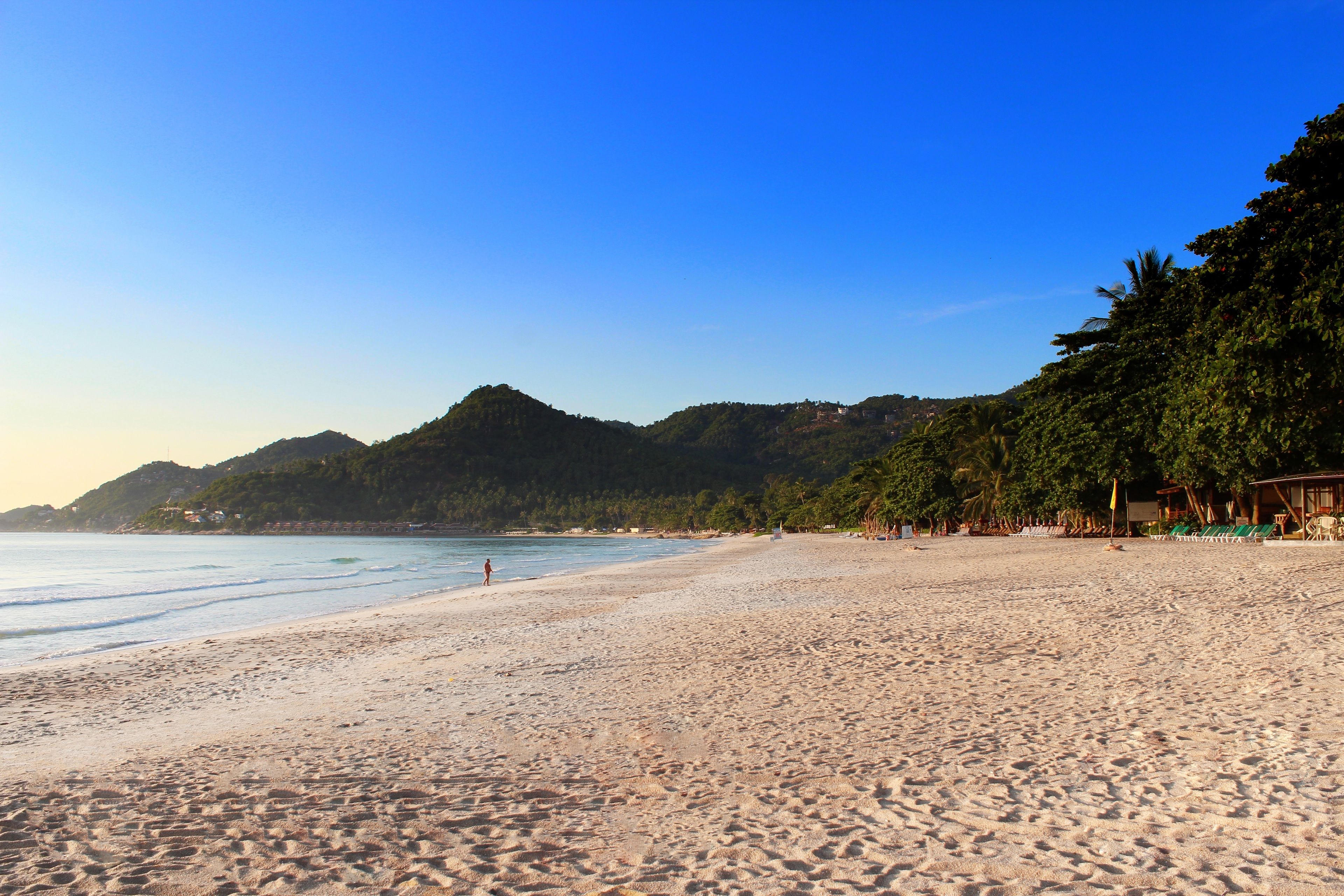 A beach with a clear sky, sandy shore, and a forested hill in the background.