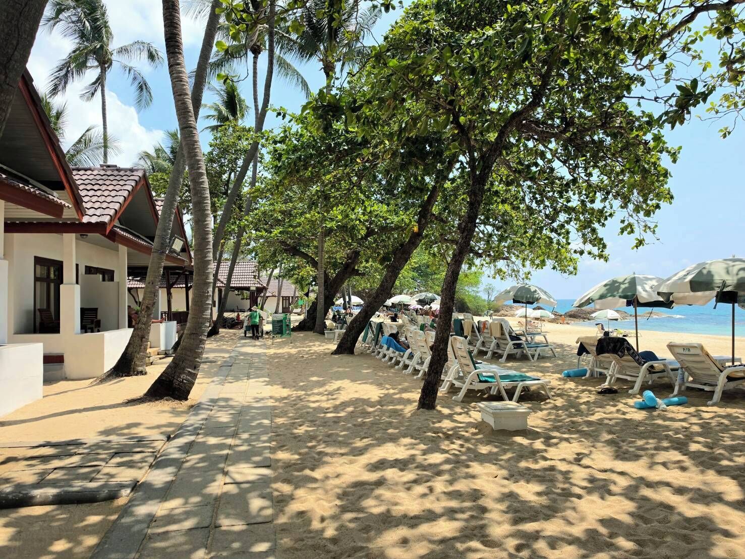 A beachside hotel with lounge chairs, umbrellas, and palm trees.