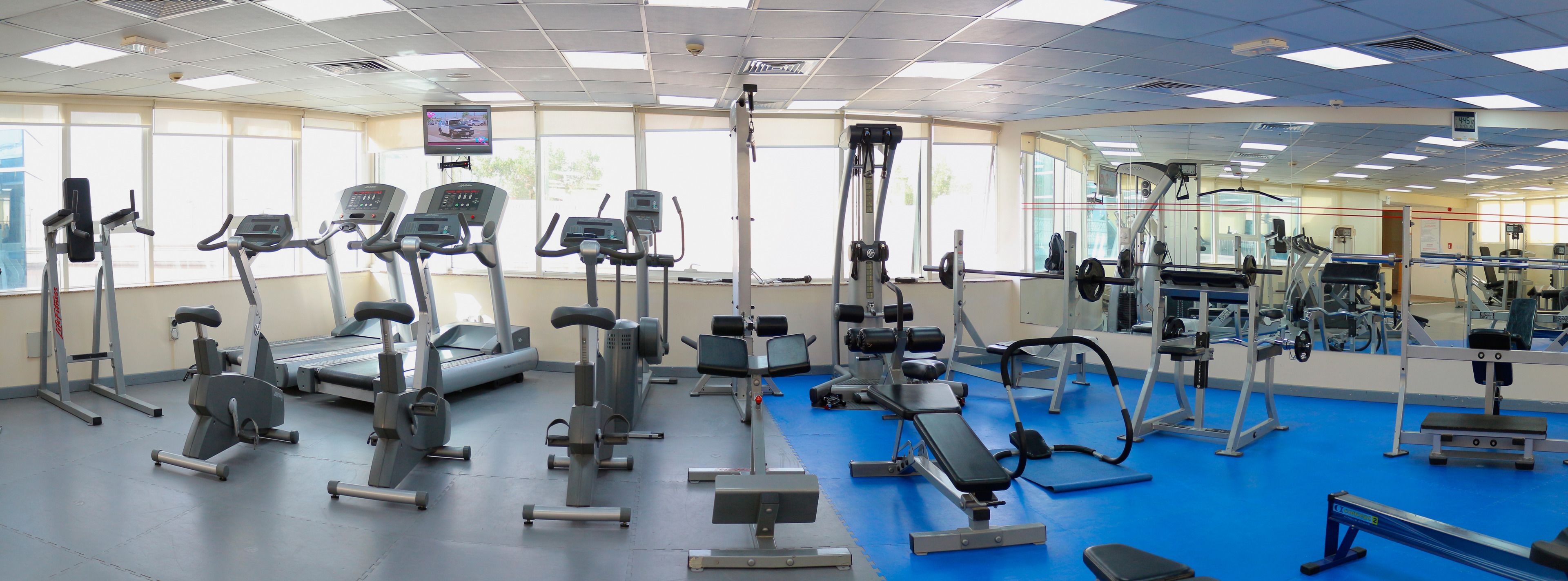 A gym with treadmills, weight machines, and a mirror wall.
