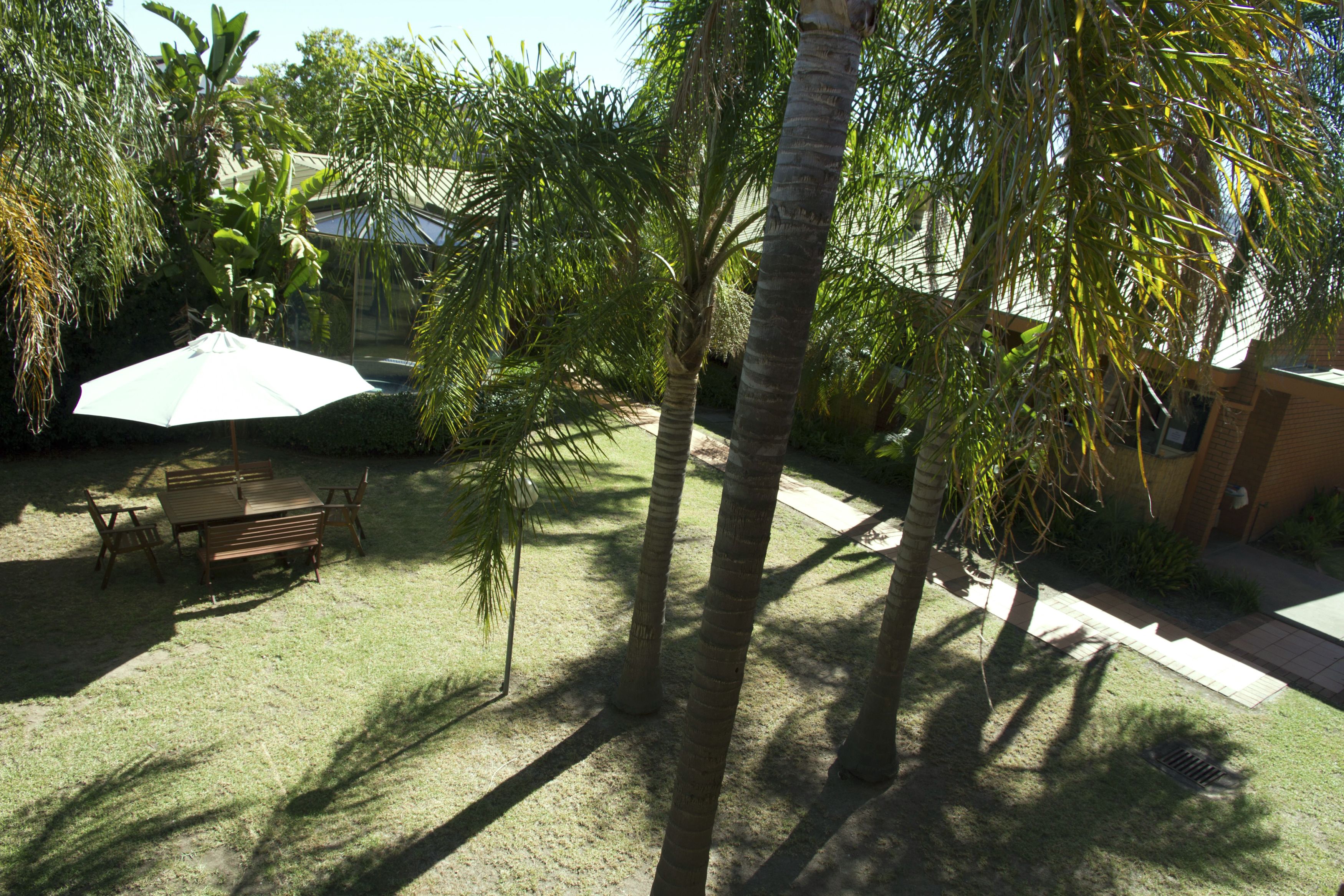 A patio with a table and chairs, surrounded by palm trees and a white umbrella.