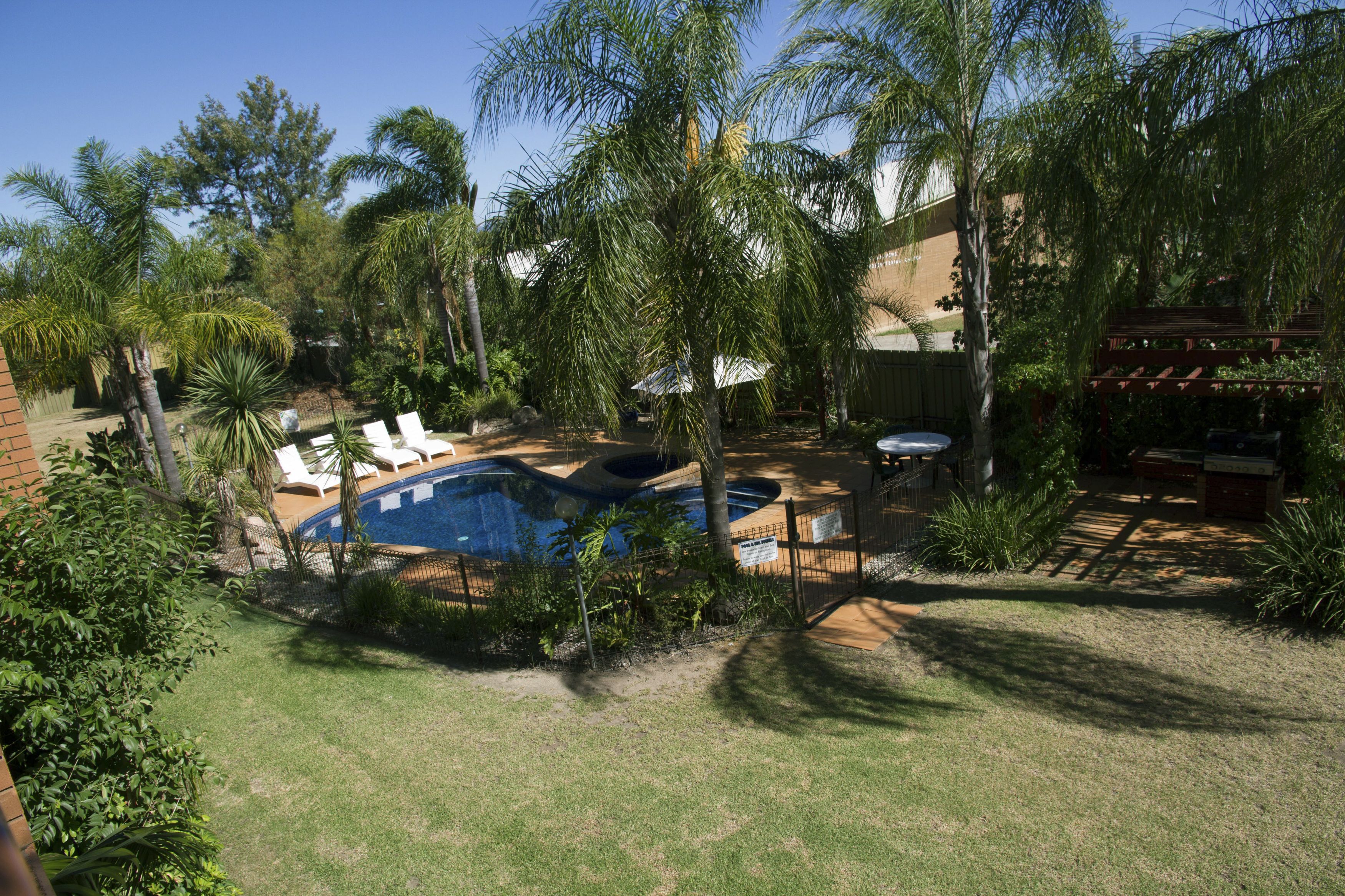 A backyard with a swimming pool, palm trees, and a brick wall.