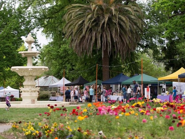 Un parc avec une fontaine, un palmier et un parterre de fleurs.