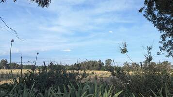 A rural landscape with a clear sky, a barbed wire fence, and dense vegetation.
