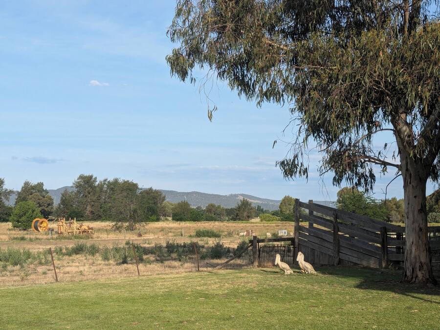 Paisaje rural con una valla de madera, un árbol y un campo.