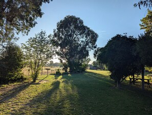 Exterior - The Cudgee at Mudgee (Mudgee)