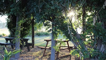 Tuin