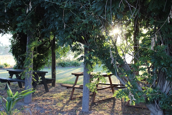 Jardín