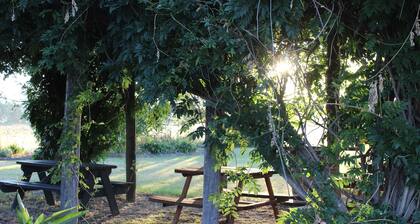 The Cudgee at Mudgee