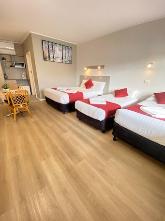Family Studio, Non Smoking (Family Standard Room) | Desk, iron/ironing board, free WiFi, bed sheets