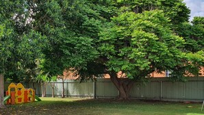 Une cour arrière clôturée, avec une aire de jeux et un grand arbre.