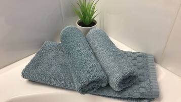 Shower, free toiletries, hair dryer, towels