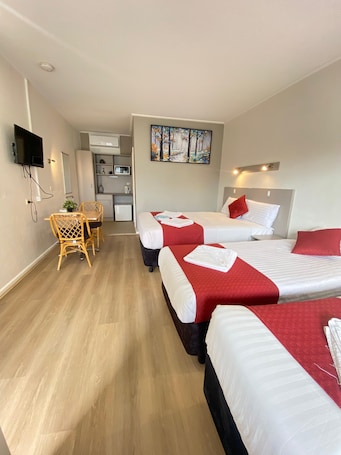 Family Studio, Non Smoking (Family Standard Room) | Desk, iron/ironing board, free WiFi, bed sheets