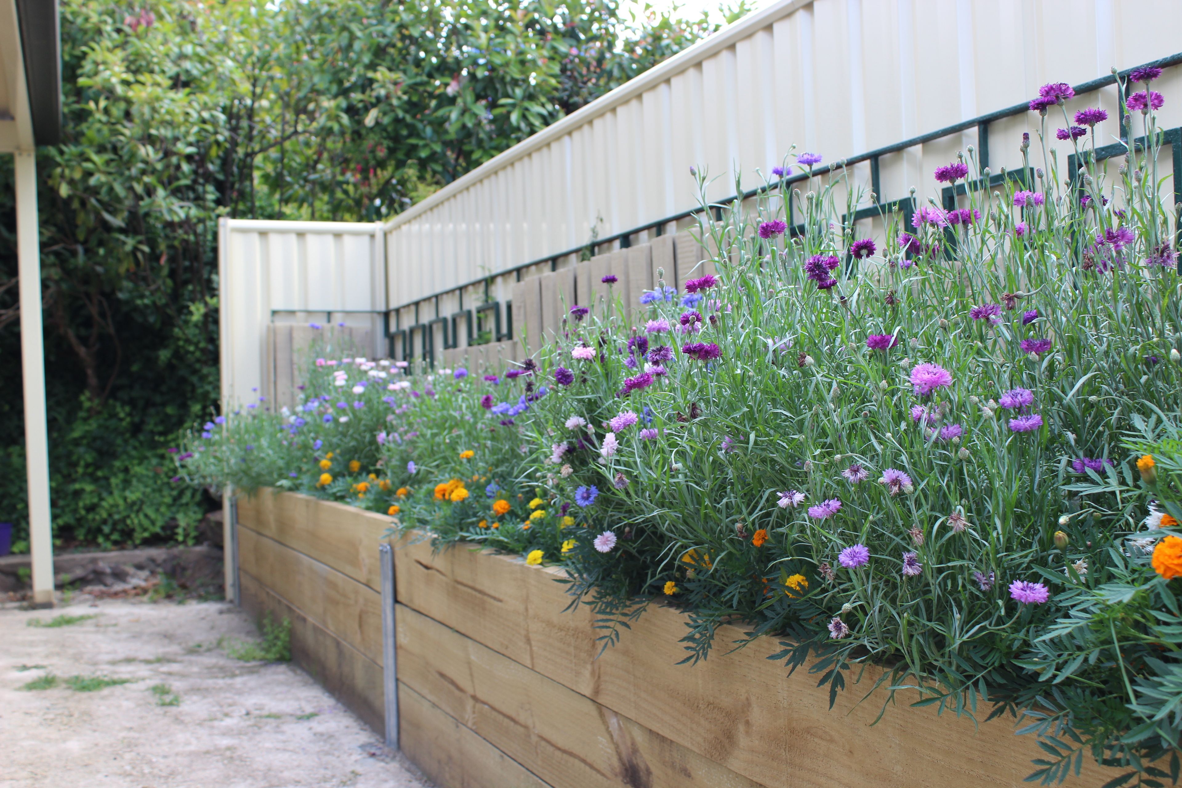 Photo - High Mountains Motor Inn