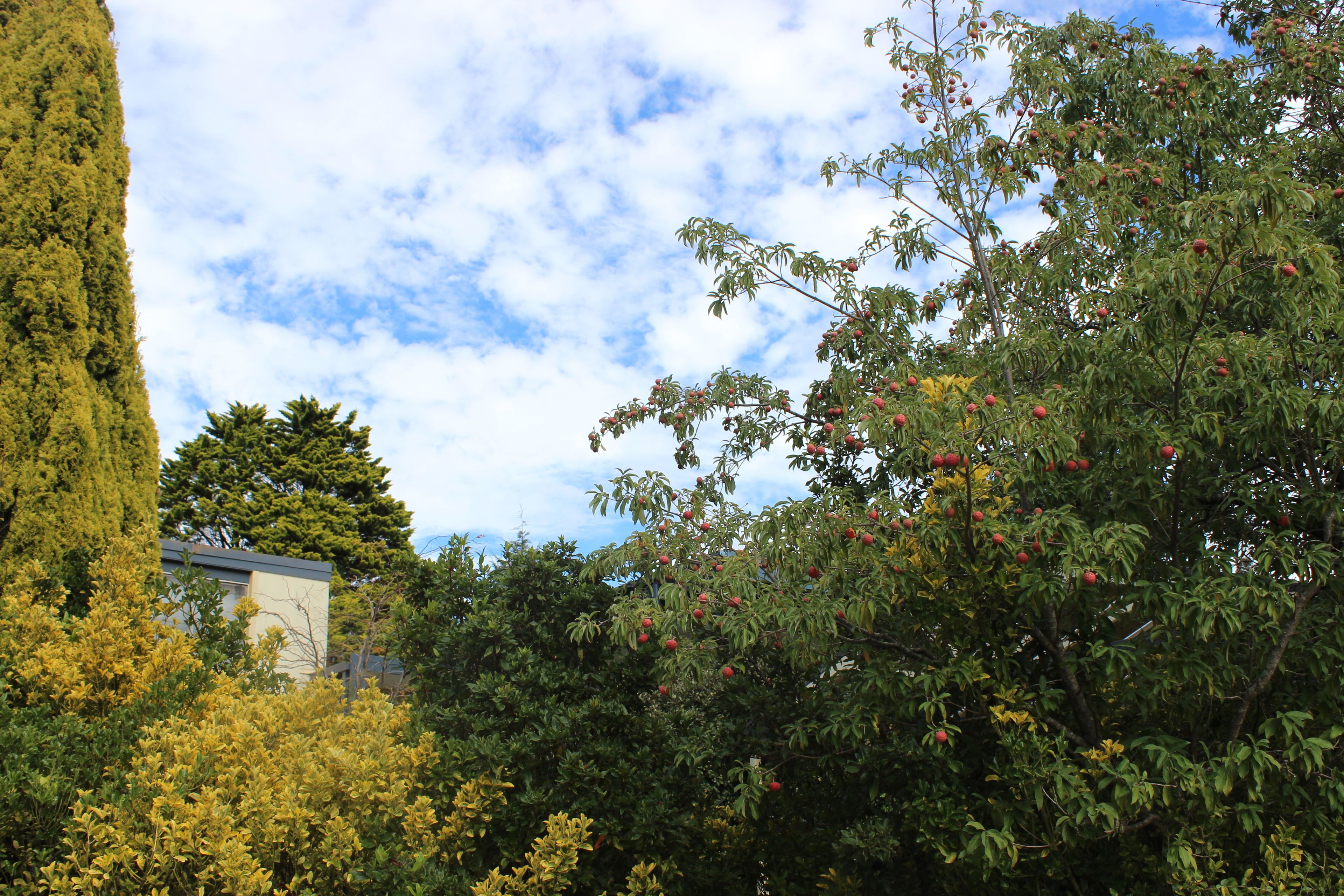 Photo - High Mountains Motor Inn
