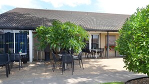 A patio area with outdoor seating, a large tree, and a building with a tiled roof. - Orana Motel Dubbo (Dubbo)