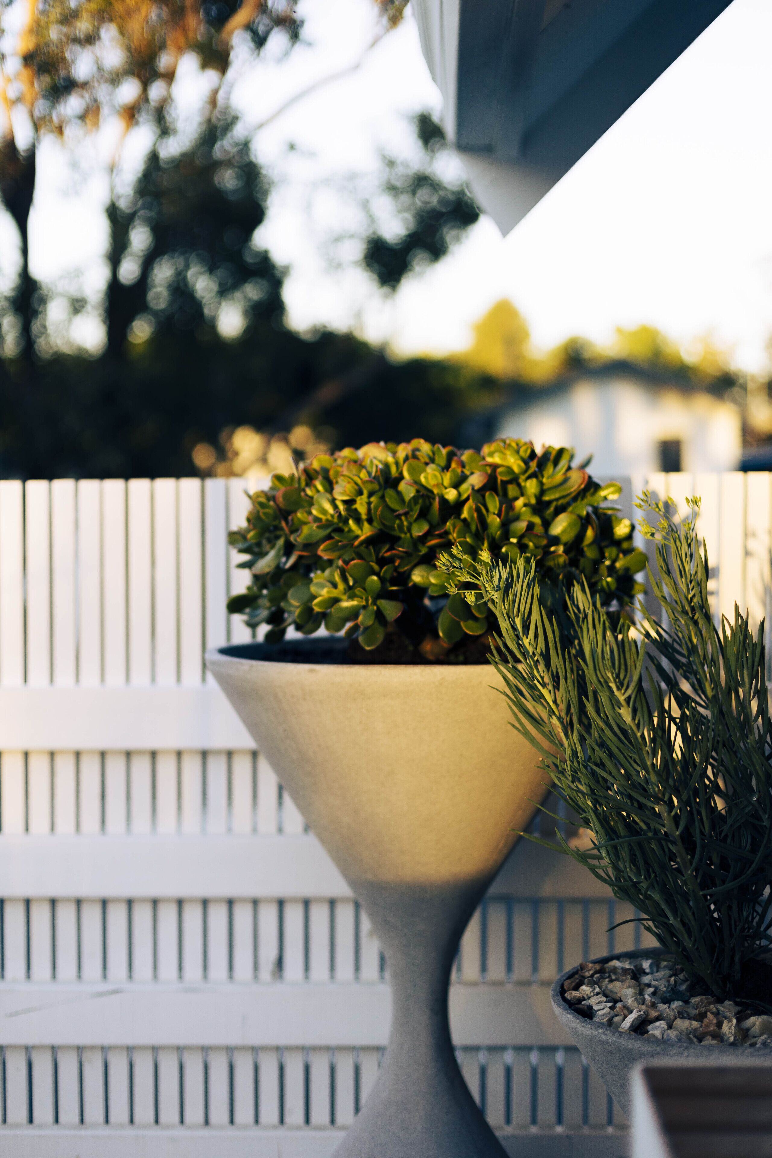 A potted plant with a textured pot on a balcony.