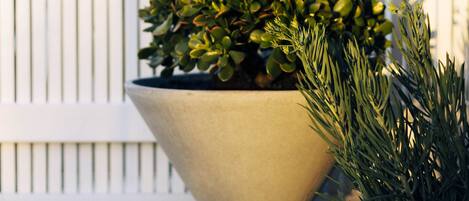 A potted plant with a textured pot on a balcony.
