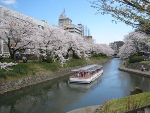 A river with a boat, cherry blossoms, and buildings in the background. - APA Hotel Toyama Ekimae (Toyama)