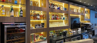 Ibis Asuncion