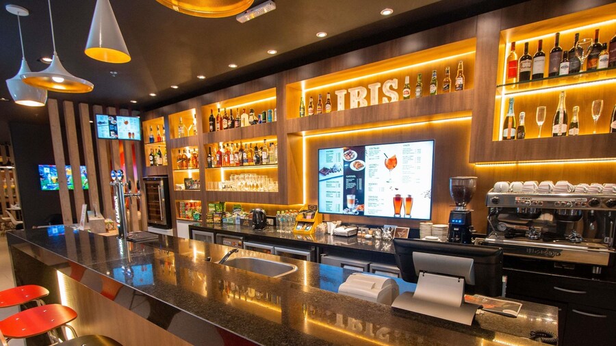 Ibis Asuncion