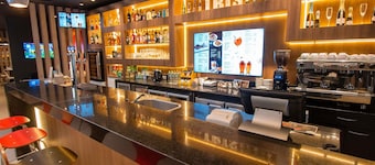 Ibis Asuncion