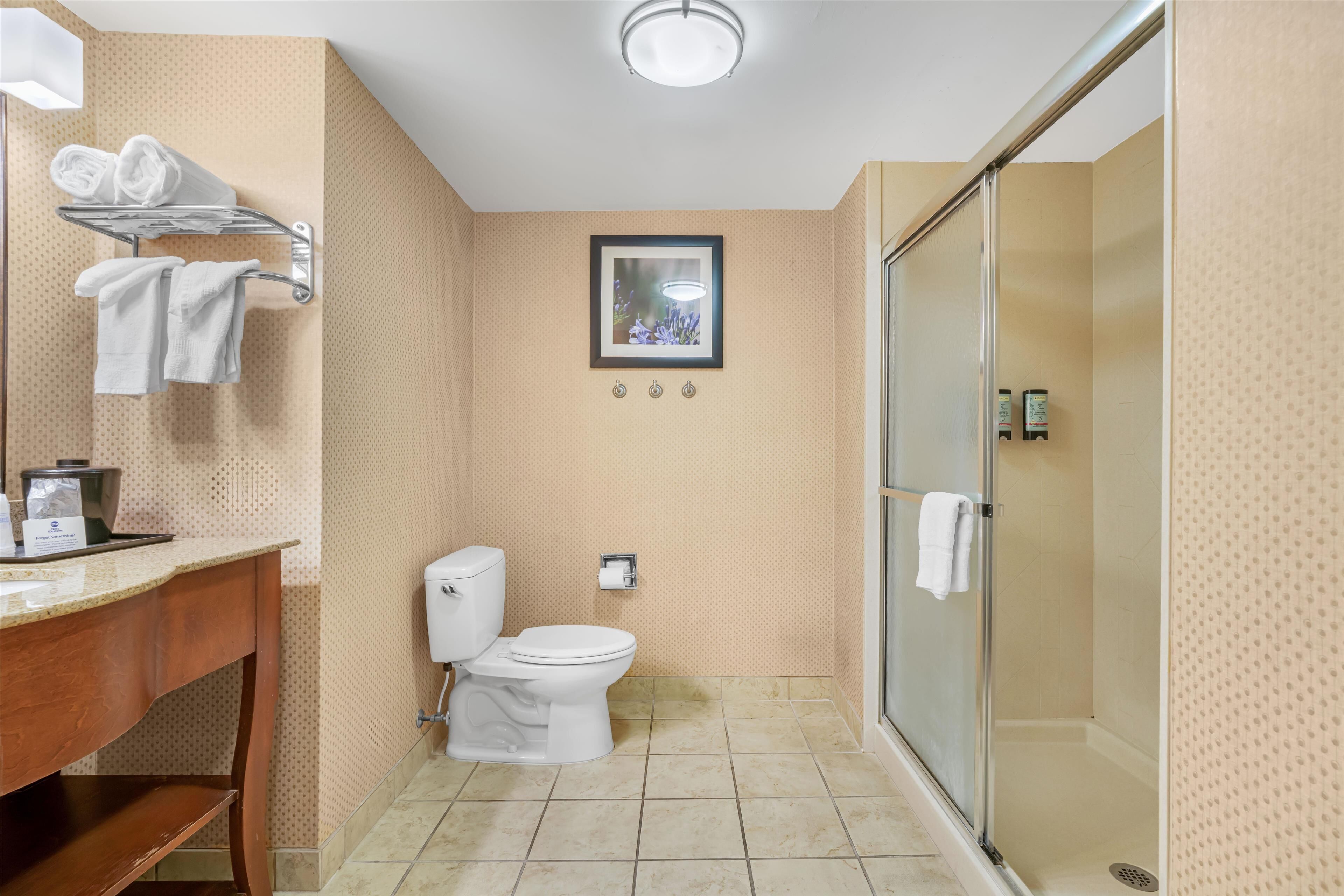 standard room, 1 king bed, non smoking, refrigerator & microwave | bathroom | rainfall showerhead, free toiletries, hair dryer, towels