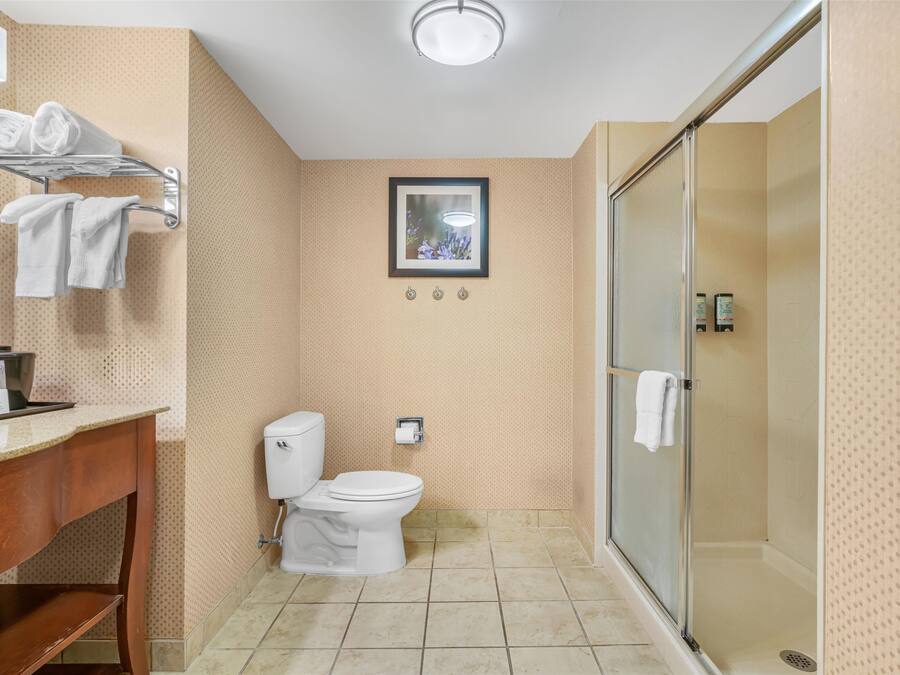 Ein Badezimmer mit Toilette, Waschbecken und Dusche. Handtuchhalter mit Handtüchern, ein gerahmtes Bild an der Wand und ein Toilettenpapierhalter sind vorhanden.