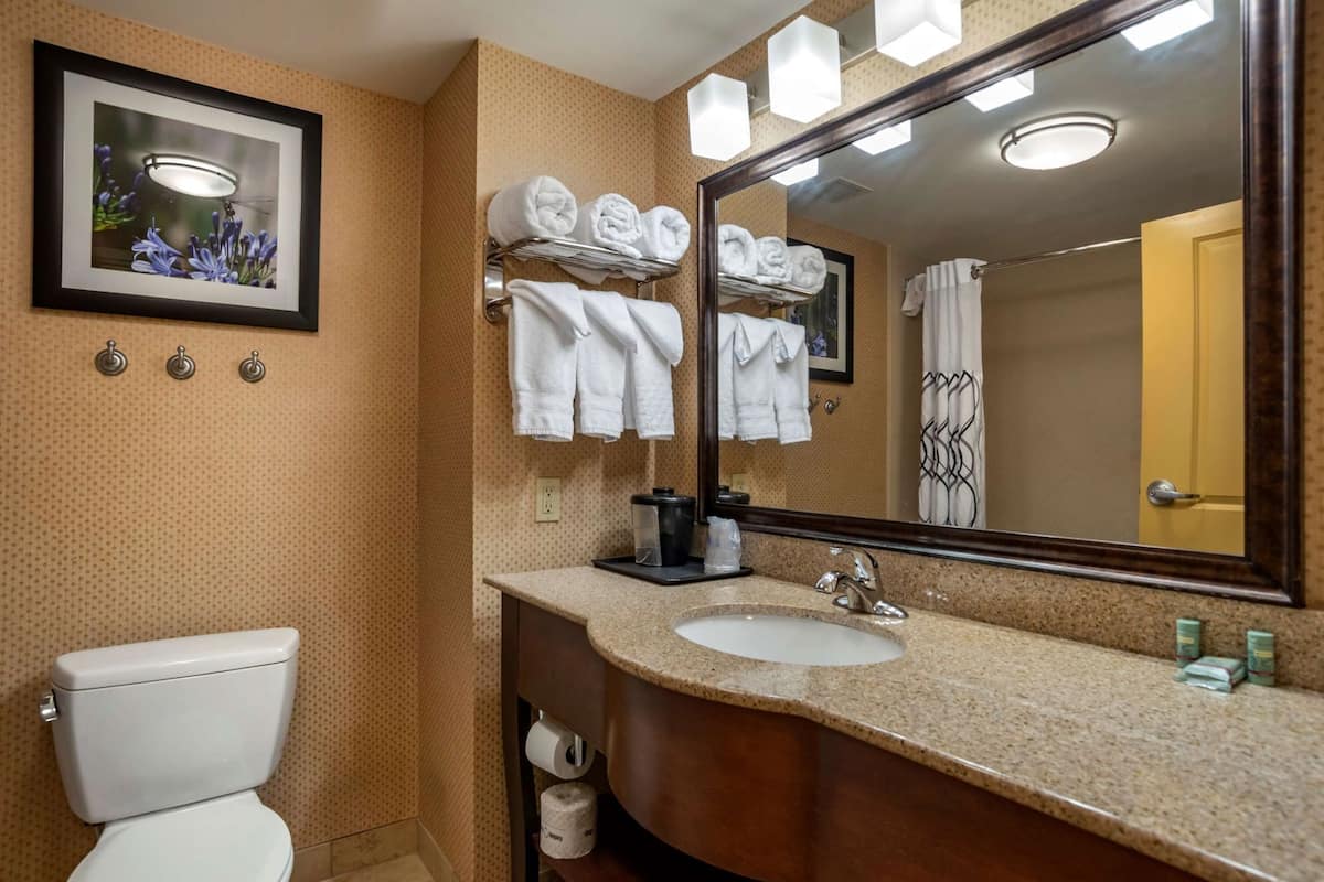 Bathroom | Rainfall showerhead, free toiletries, hair dryer, towels