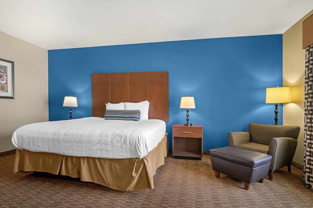 Standard Room, 1 King Bed, Accessible, Non Smoking (Walk-in Shower) | Desk, iron/ironing board, cribs/infant beds, free WiFi