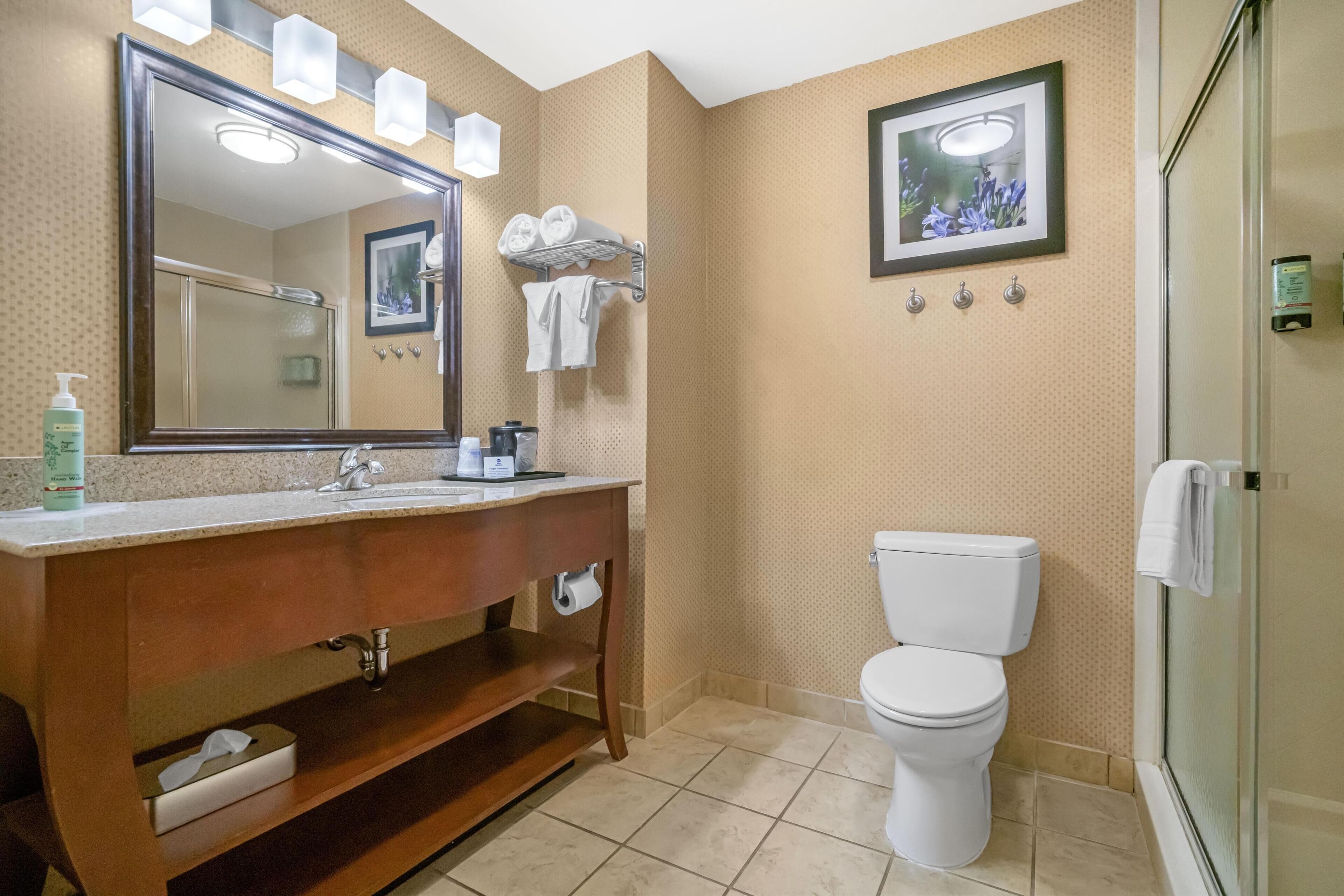 standard room, 1 king bed, non smoking, jetted tub | bathroom | rainfall showerhead, free toiletries, hair dryer, towels