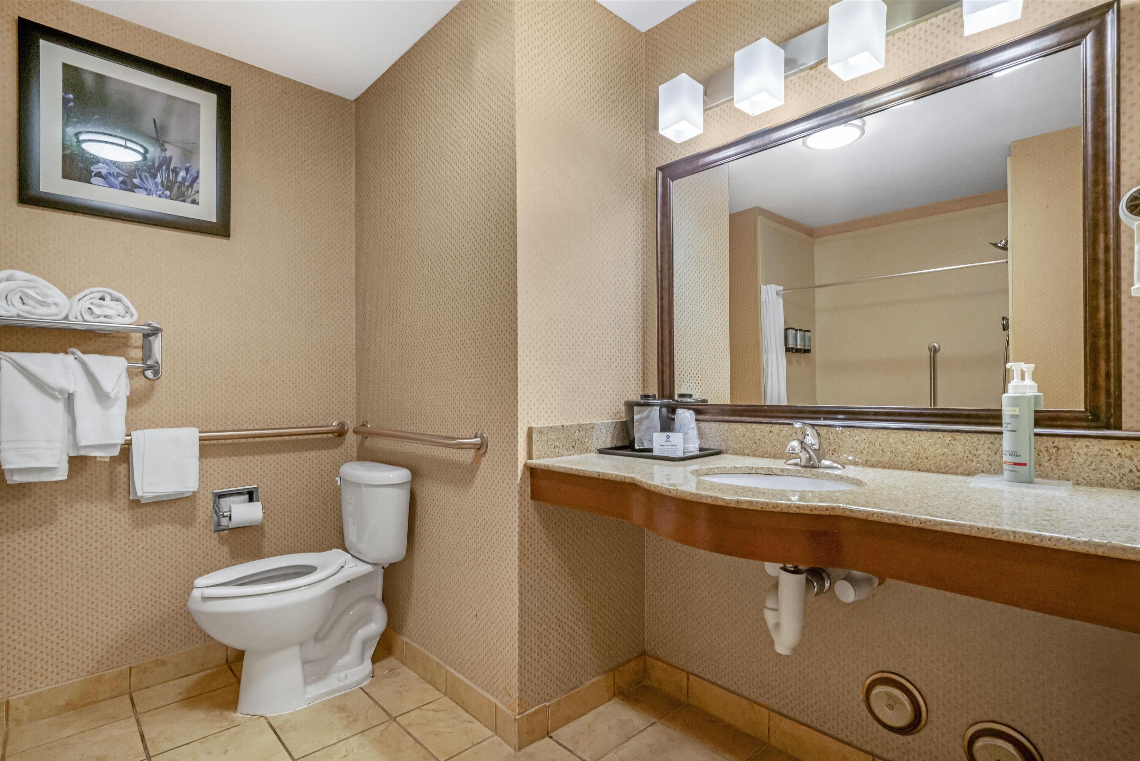 standard room, 1 king bed, accessible, non smoking | bathroom | rainfall showerhead, free toiletries, hair dryer, towels