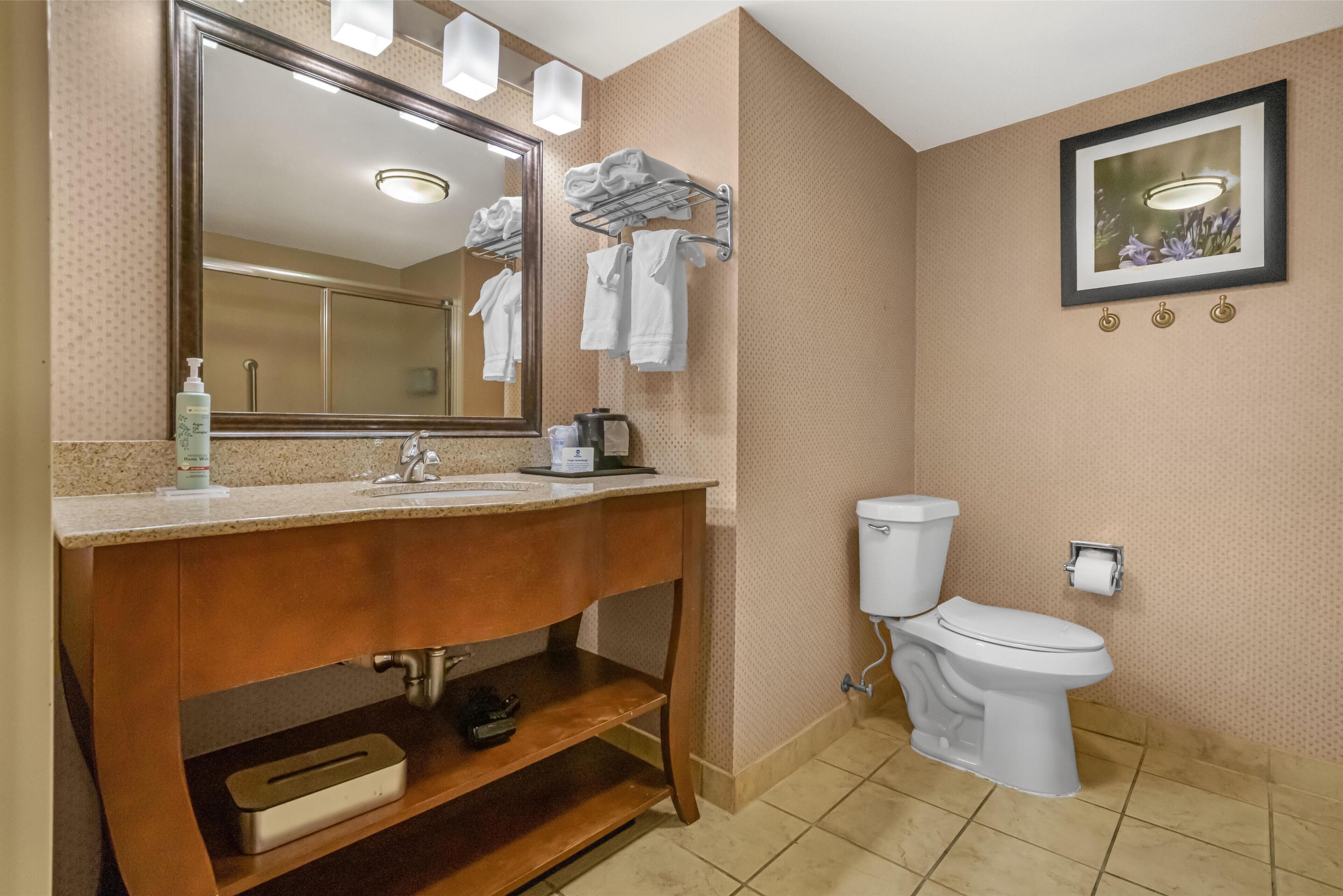 standard room, 1 king bed, accessible, non smoking (walk-in shower) | bathroom | rainfall showerhead, free toiletries, hair dryer, towels