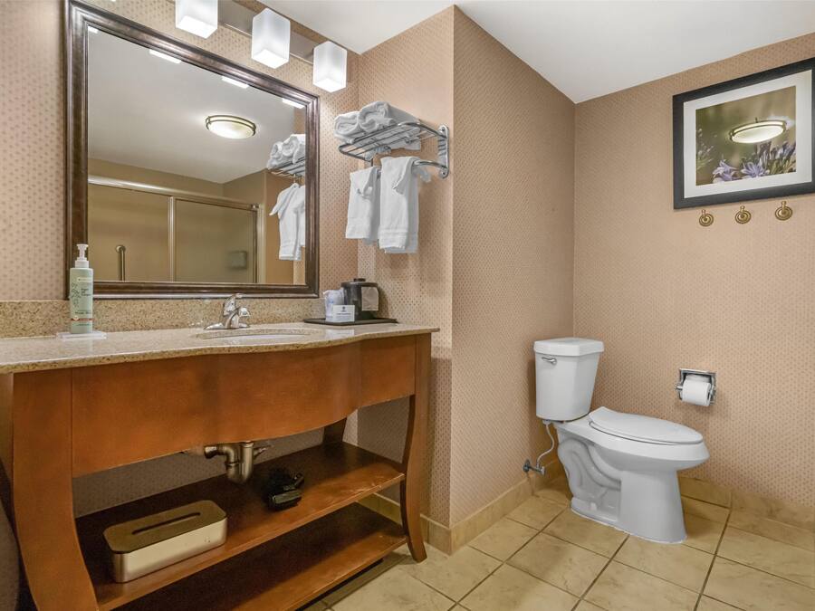 A bathroom with a wooden vanity, a large mirror, a toilet, and a framed picture on the wall.
