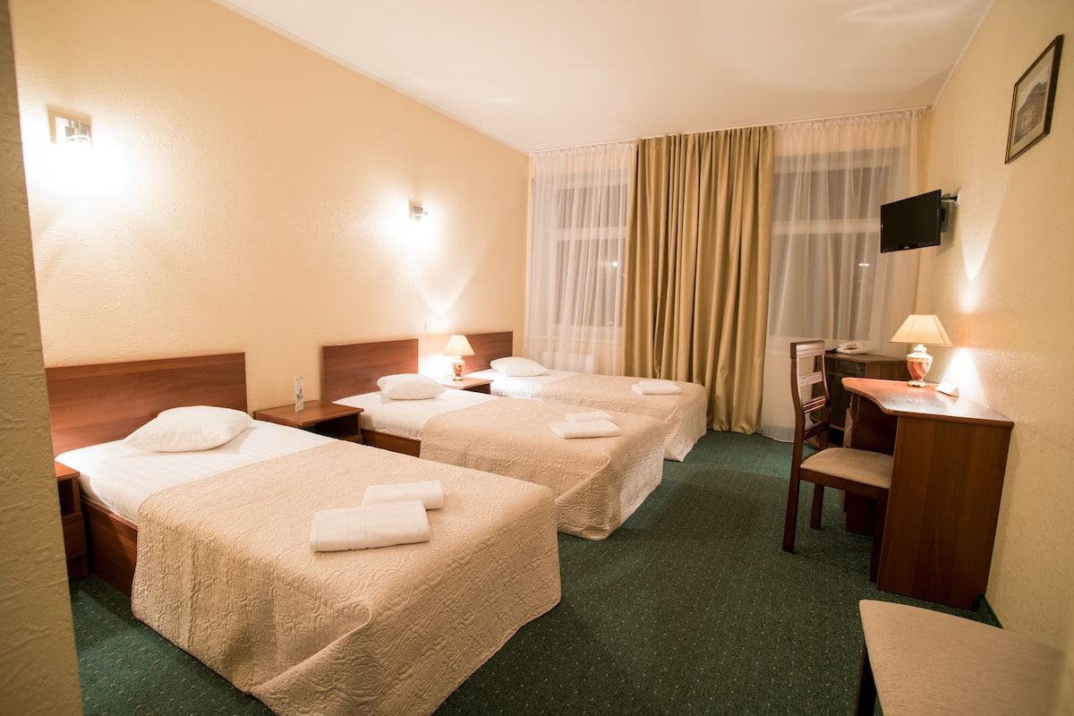 Standard Triple Room | Peti besi dalam bilik, seterika/papan seterika