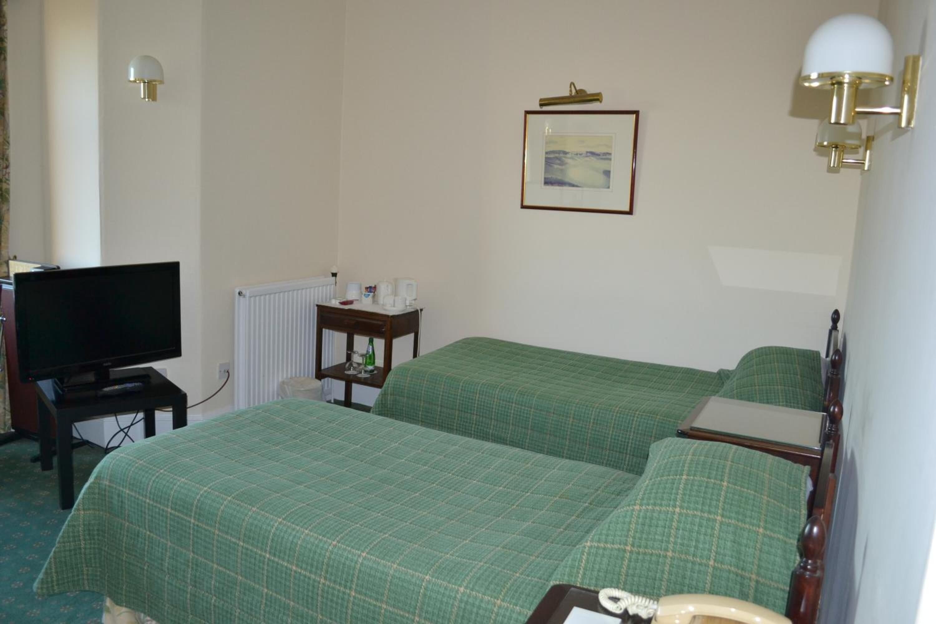 Een hotelkamer met twee bedden, een televisie, een nachtkastje met een lamp en een ingelijst schilderij aan de muur.