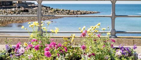 Un vaso nero con la scritta "PORTPATRICK" su una passeggiata lungomare, con ringhiera, fiori e vista sul mare e sulle rocce.