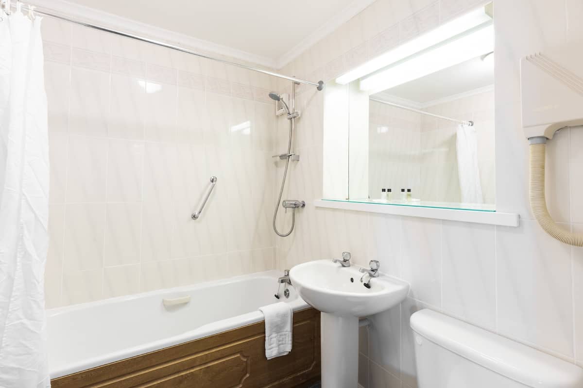 combined shower/bathtub, free toiletries, hair dryer, towels