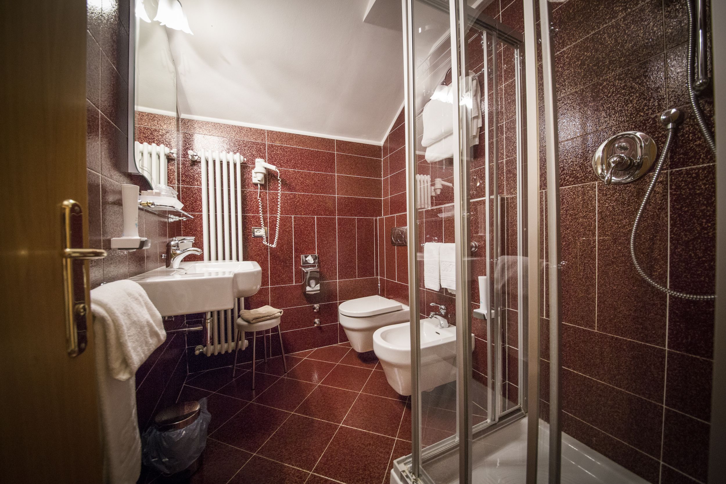 shower, free toiletries, hair dryer, bidet