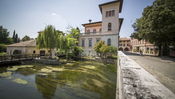 Un edificio histórico con una torre destacada, un pequeño puente y un estanque cubierto de lirios.