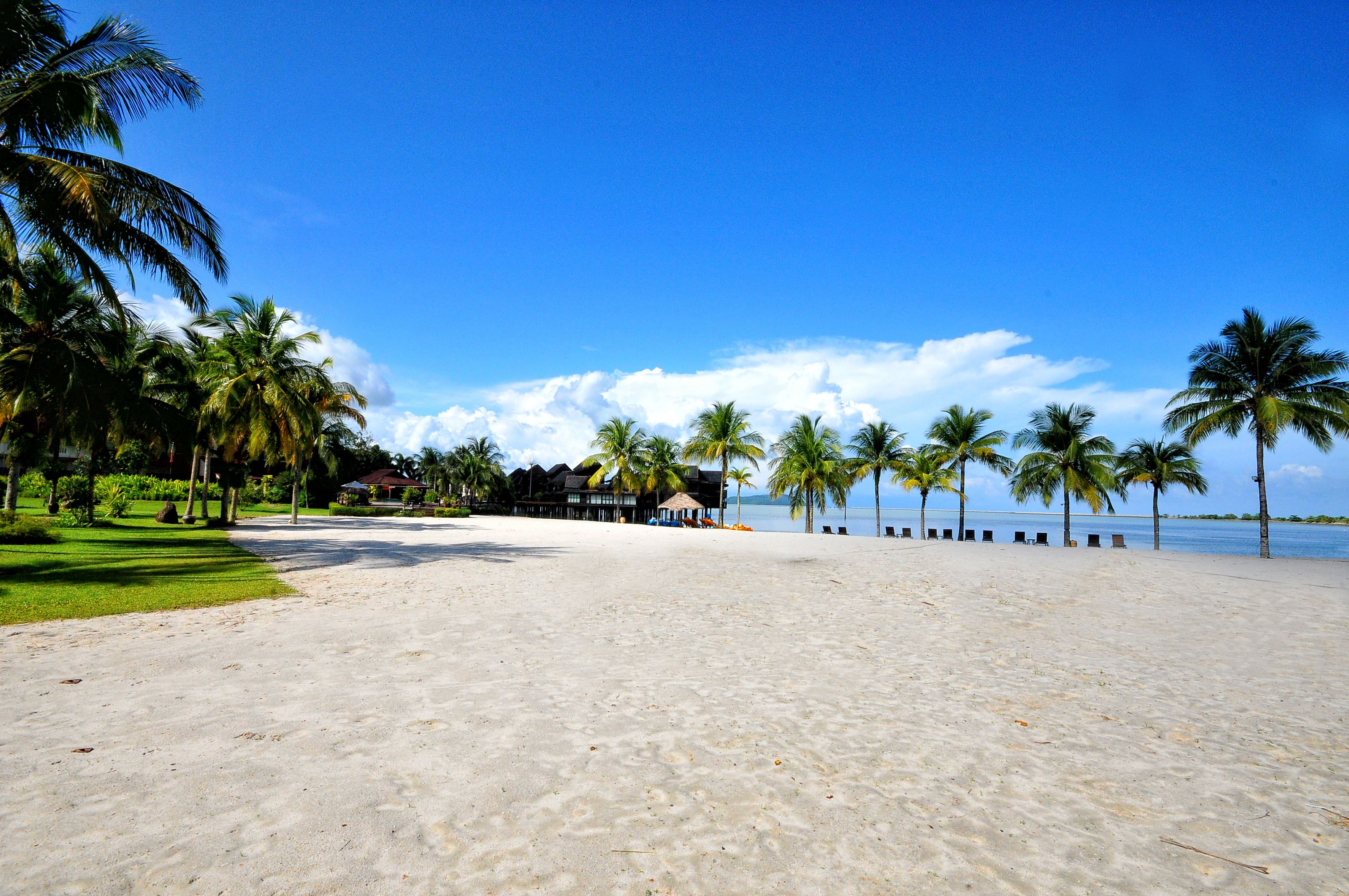 A beach with palm trees, a clear sky, and a building with a thatched roof.