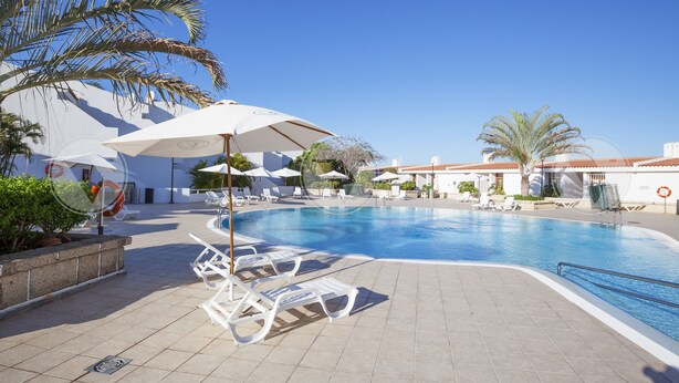 Une piscine entourée de palmiers et d’un bâtiment à toit de tuiles, avec des chaises longues et des parasols à proximité.