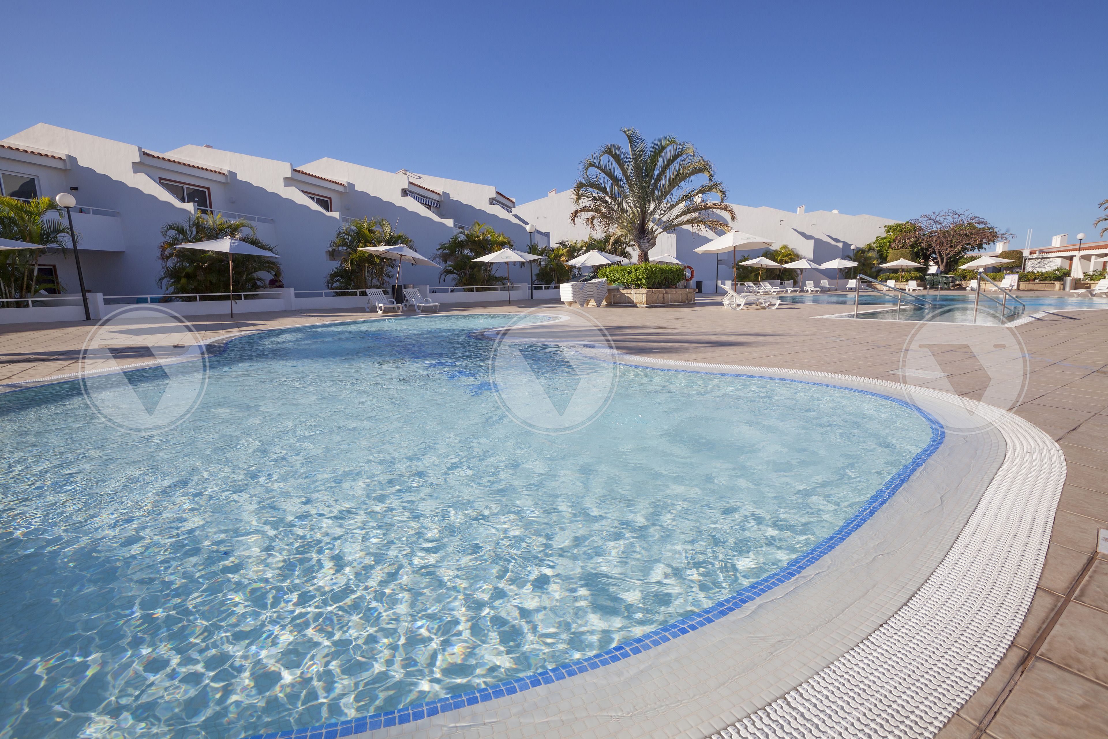 Una piscina al aire libre, sombrillas, sillones reclinables de piscina