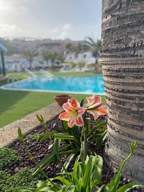 Piscine extérieure, parasols de plage, chaises longues