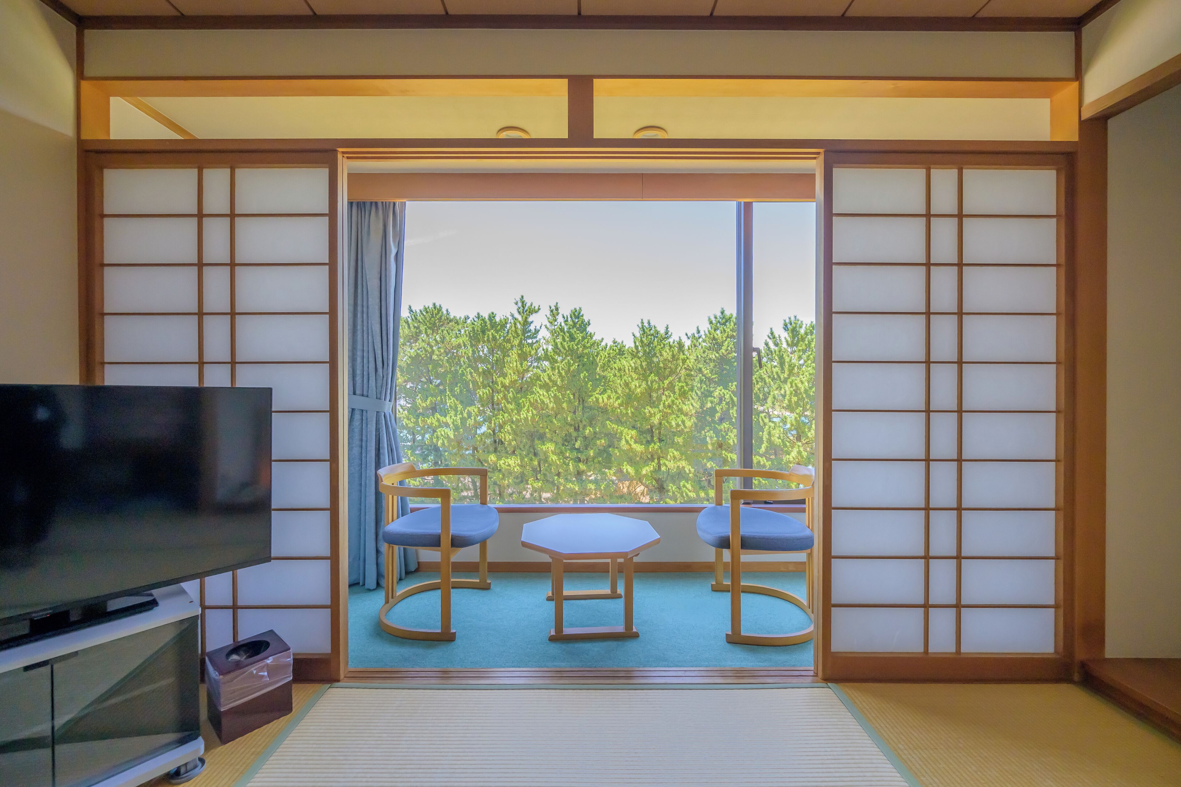 A traditional Japanese room with tatami flooring, a television, and a sliding door leading to a balcony with a view of trees.