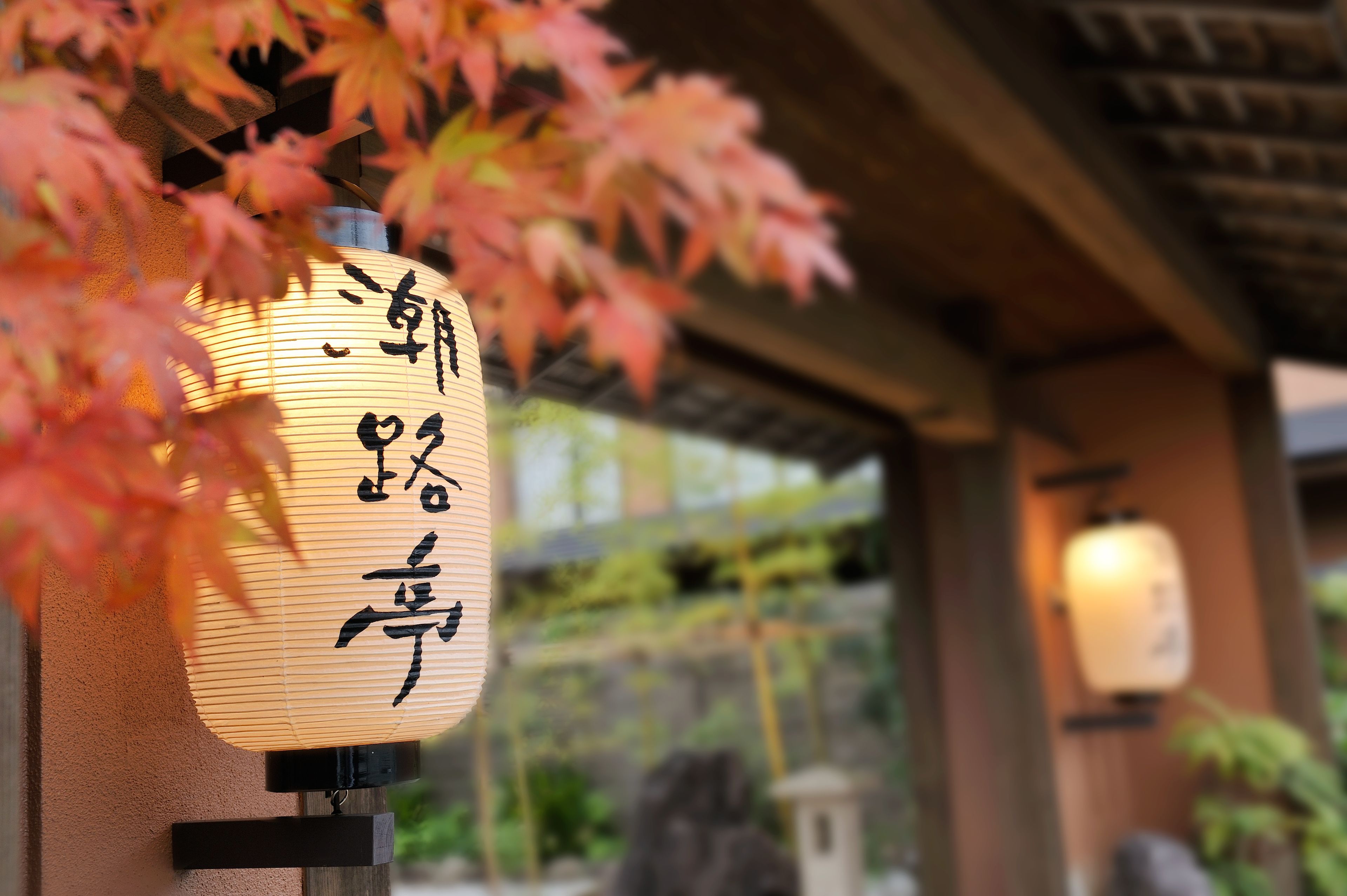 A traditional Japanese lantern with calligraphy, set against a backdrop of autumn leaves and a wooden structure.