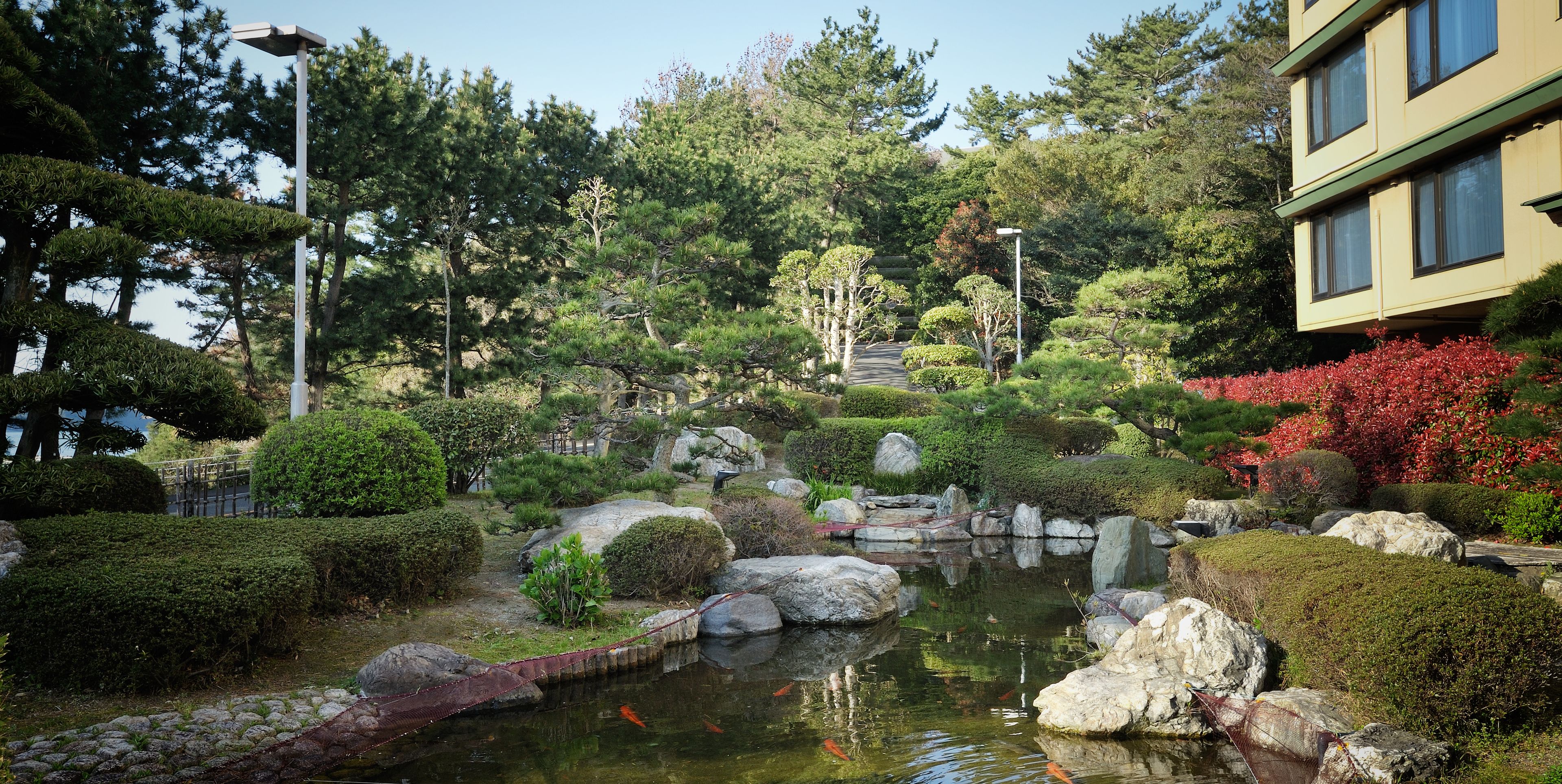 A serene garden with a pond, rocks, and various plants.
